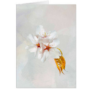 Cartão Sakura - cereja japonesa floresce