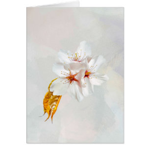 Cartão Sakura - cereja japonesa floresce