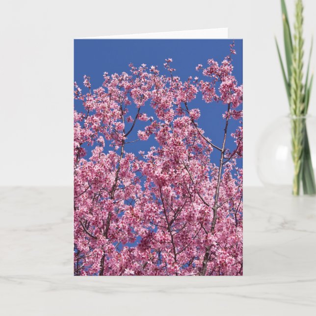 Cartão Sakura Flores de Cerejeira no Azul (Frente)