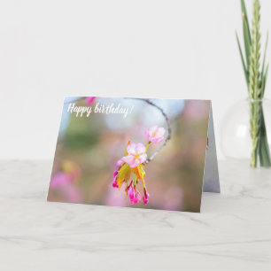 Cartão Sakura Flores Numa Ponta Do Turno. Time Helix