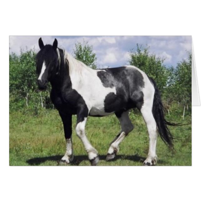 Cartão Sal (Frente horizontal)