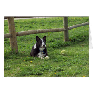 Cartão Sal_retrato2