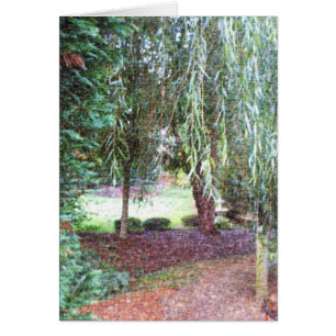 Cartão Salgueiro Weeping