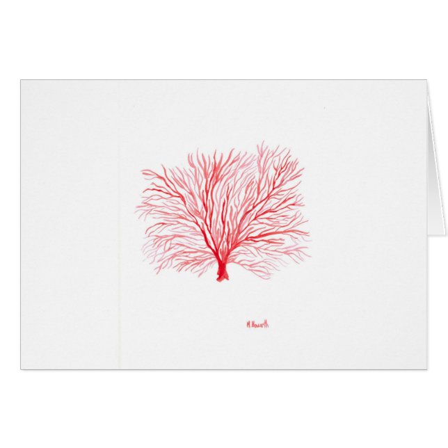 Cartão Salife de coral vermelho (Frente Horizontal)