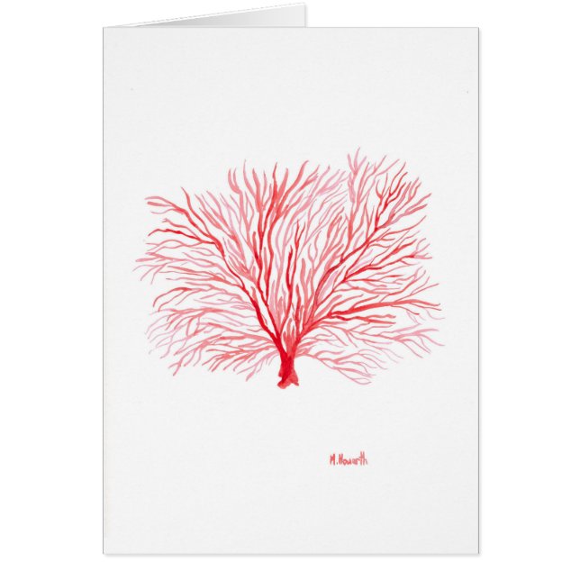 Cartão Salife de coral vermelho (Frente)