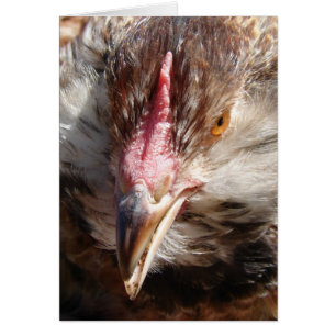 Cartão Salmão Faverolle Hen