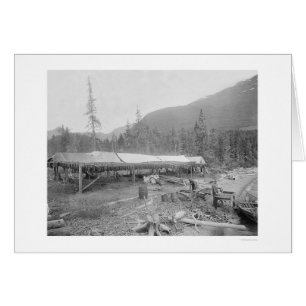 Cartão Salmões de secagem em Alaska 1915