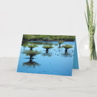 Cartão Salt Marsh with Mangroves Greeting Card