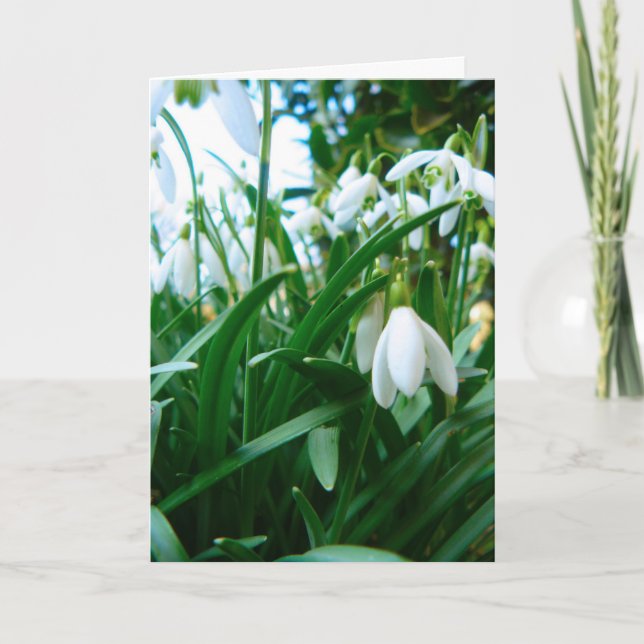 Cartão Salto acima (Frente)