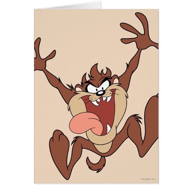 Cartão Salto TAZ™ (Frente)