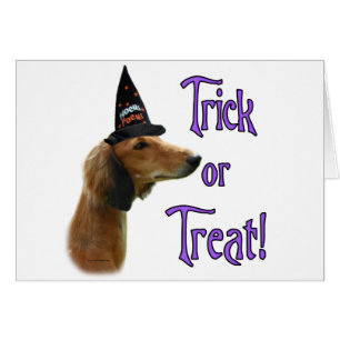 Cartão Saluki Trick