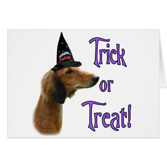 Cartão Saluki Trick (Frente Horizontal)