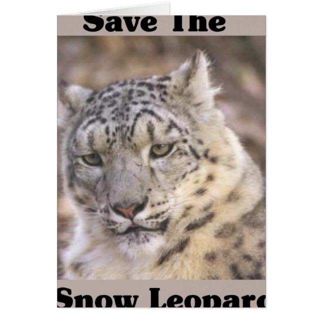 Cartão Salve o Leopardo da Neve (Frente)
