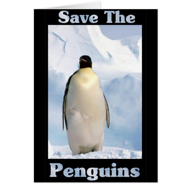 Cartão Salve os pinguins (Frente)