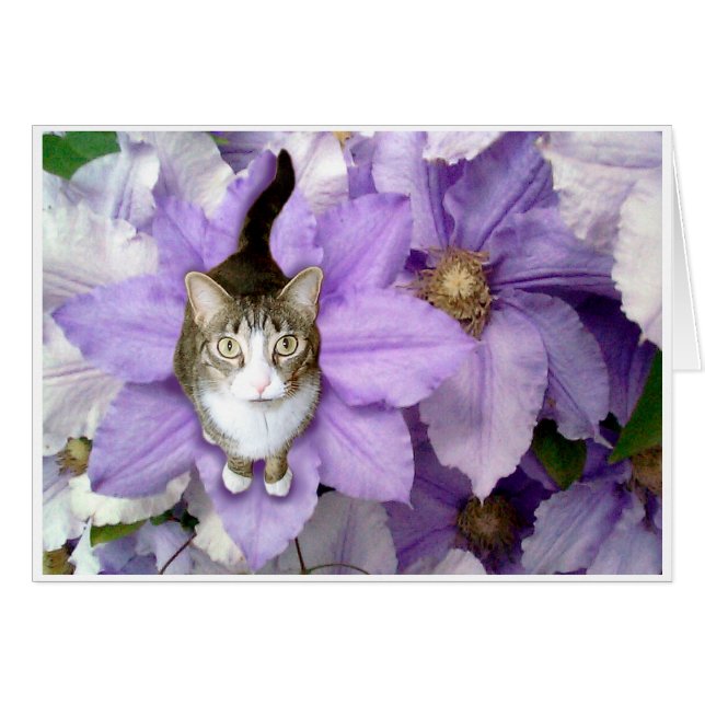 Cartão Sam doce (Frente Horizontal)