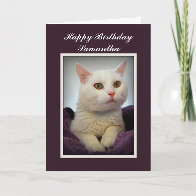 Cartão Samantha Happy Birthday White Cat Card (Frente)