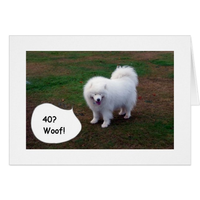 CARTÃO SAMOYED NÃO PODE ACREDITAR EM VOCÊ40! WOOF! (Frente Horizontal)