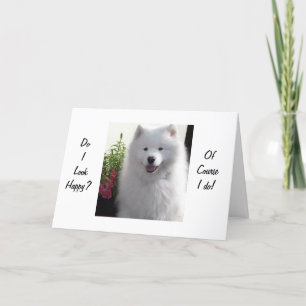 CARTÃO SAMOYED SAYS HAPPY THAT YOU ARE "21"