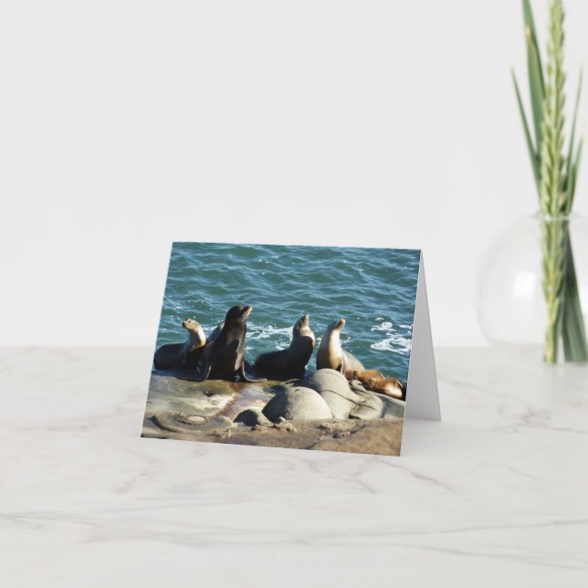 Cartão San Diego Sea Lions (Frente)