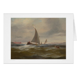 Cartão San Francisco Bay Felluca (1314)