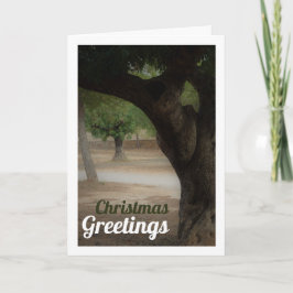 Cartão San Vicente Park Lliria, Valência