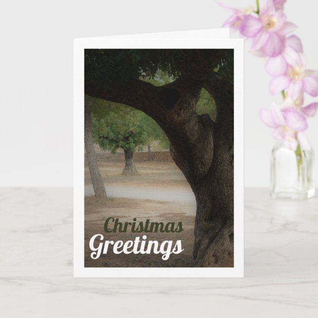 Cartão San Vicente Park Lliria, Valência (Orquídea)