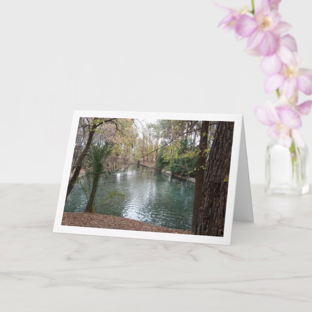 Cartão San Vicente Park, Lliria, Valência, Espanha (Orquídea)