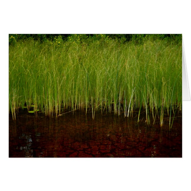 Cartão Sancturary (Frente Horizontal)