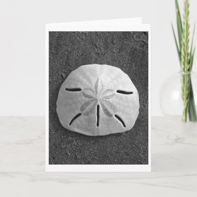 Cartão Sand Dollar (Black and White) Card (Frente)