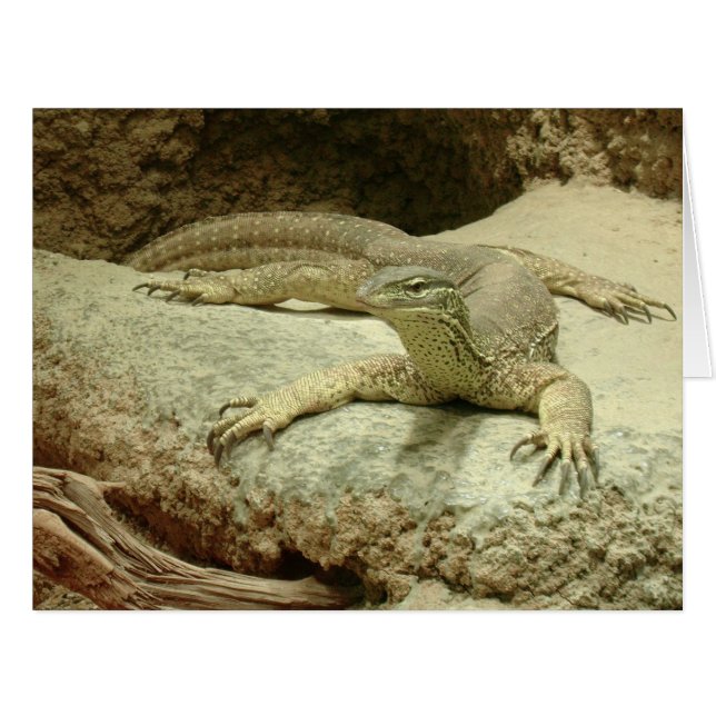 Cartão Sand Goanna (Frente horizontal)