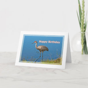 Cartão Sandhill Crane Birthday Card