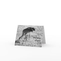 Sandhill cranes on Thinking of You card