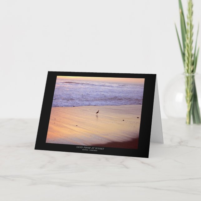 Cartão Sandpiper at Sunset: Ventura Beach (Frente)