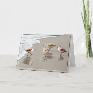 Cartão Sandpipers at the Shoreline