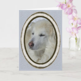 Cartão *Sandy Dog - Desculpas/Desculpas