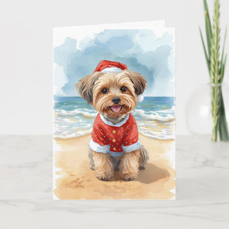 Cartão Sandy Paws & Shih Tzu Claus - Um Natal na Praia