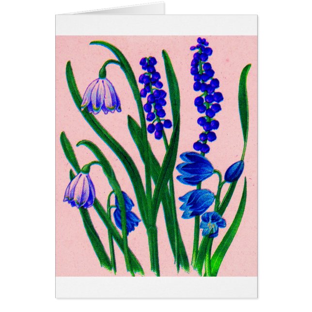 Cartão sanfona e cinza (Frente)