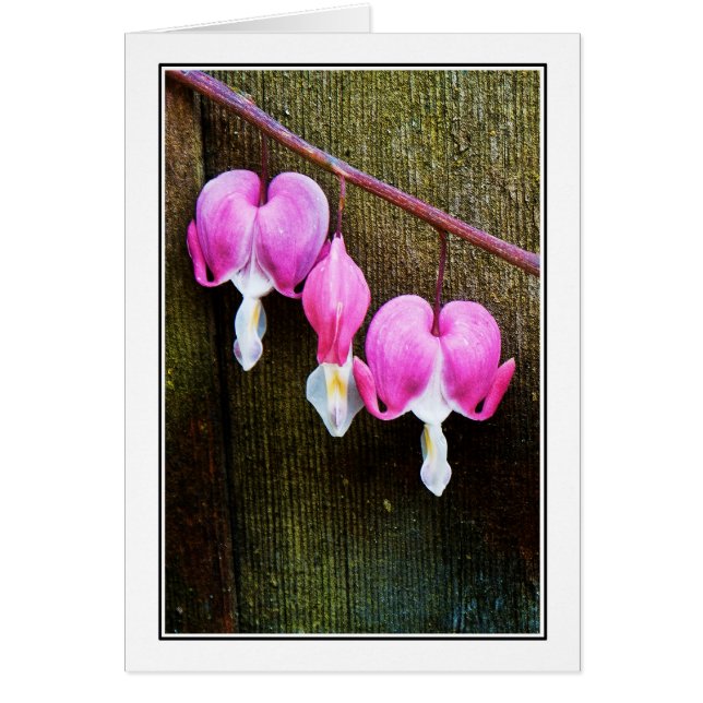 Cartão Sangramento dos corações (Frente)