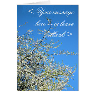 CARTÃO SANGUE DE PLUM BRANCO (ALFÂNDEGO)