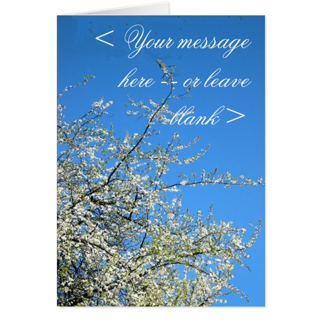 CARTÃO SANGUE DE PLUM BRANCO (ALFÂNDEGO) (Frente)