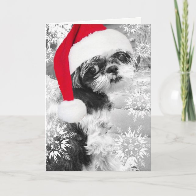 Cartão Santa Shih Tzu Girl Blank Greeting Card (Frente)
