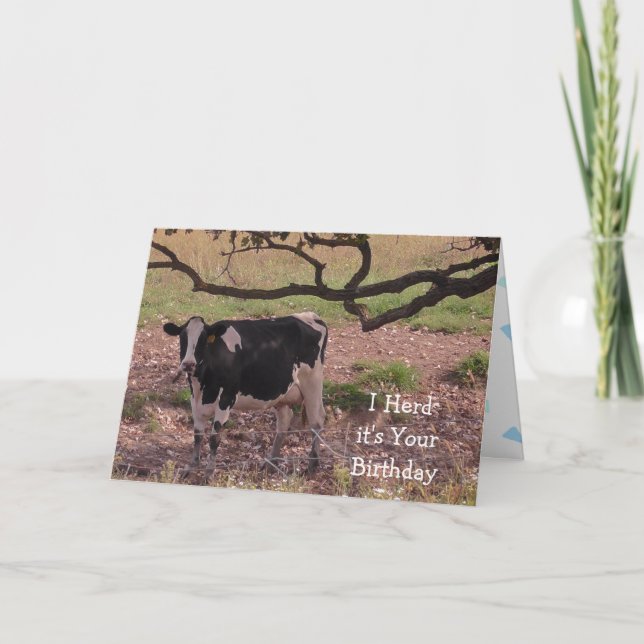 Cartão Santa Vaca, você está ficando velho, aniversário (Frente)