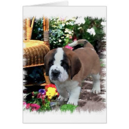 Cartão Santo Bernard Art Gifts