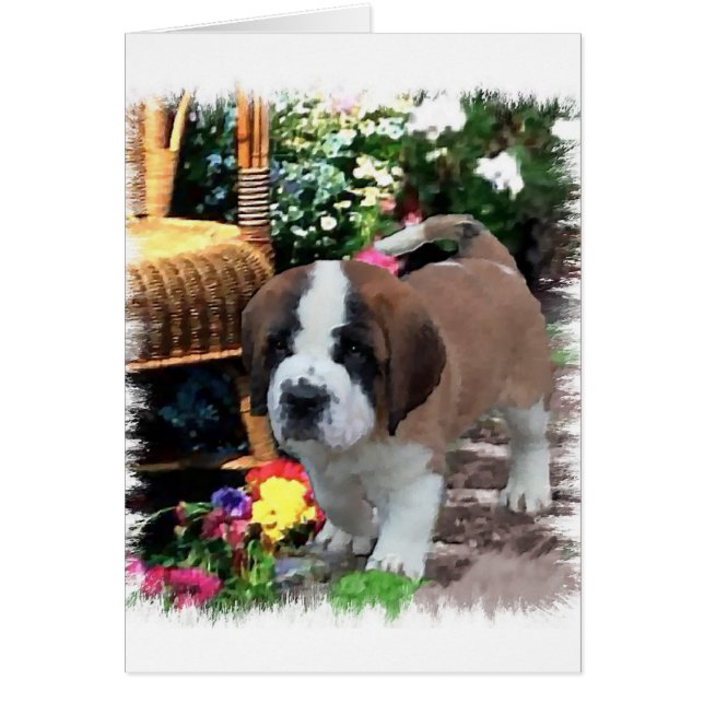 Cartão Santo Bernard Art Gifts (Frente)