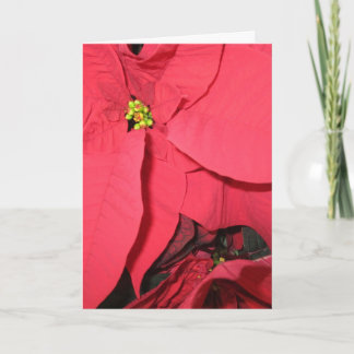 Cartão Santos Anjos