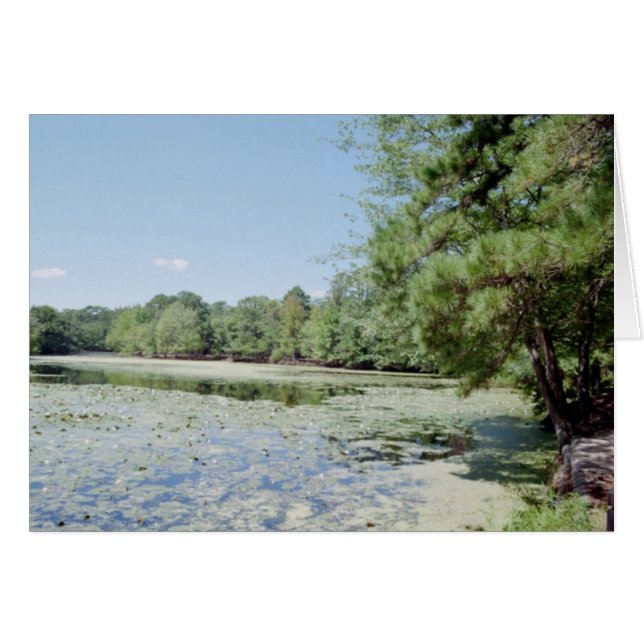 Cartão Santuário (Frente Horizontal)