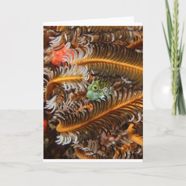 Cartão São as Coisas Pequenas... (Frente)