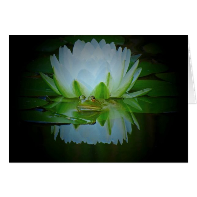 Cartão Sapo da Lily (Frente Horizontal)