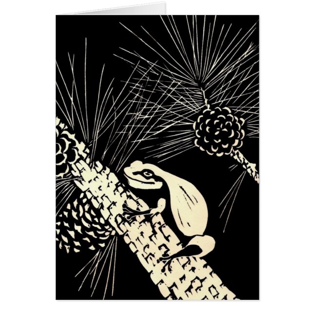 Cartão sapo de árvore dos barrens do pinho (Frente)