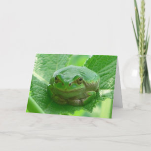Cartão Sapo de sorriso verde - ascendente próximo